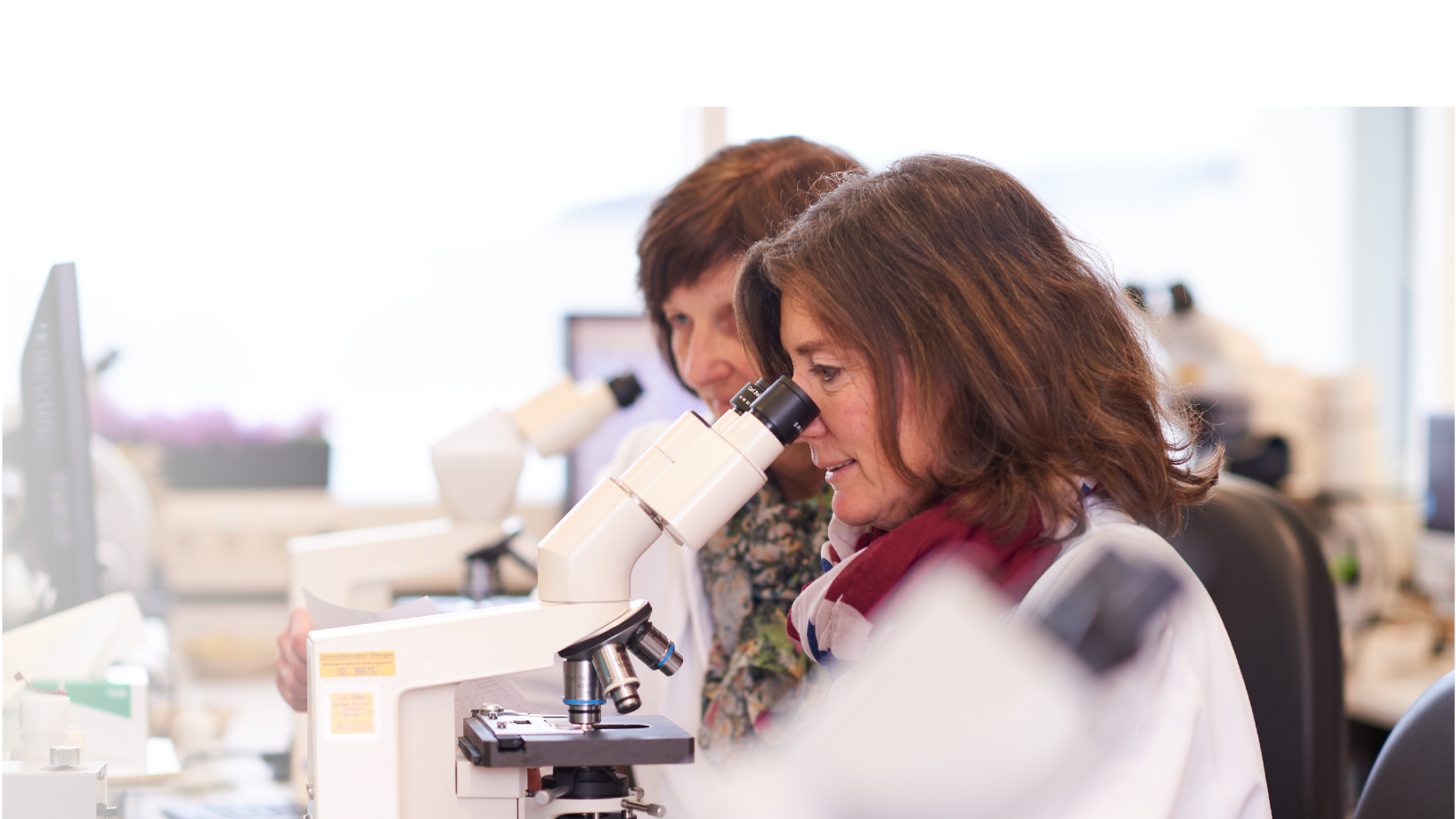 Zwei Forscherinnen schauen in ein Mikroskop